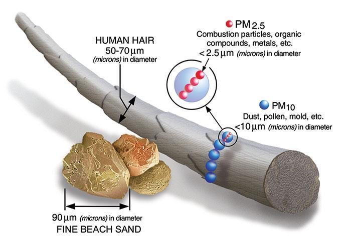 Particulate Matter (PM2.5 and PM10) Basics